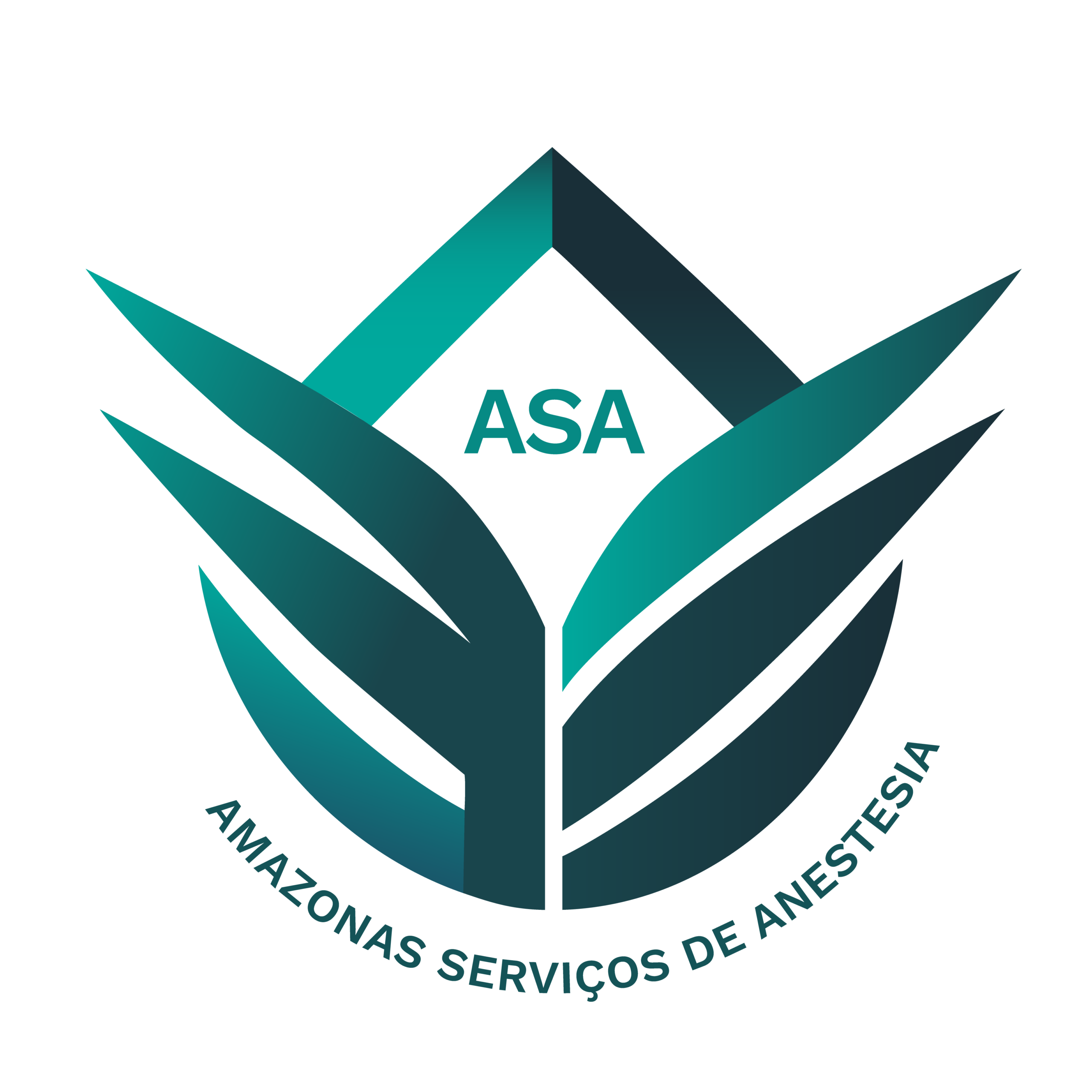 Amazonas Servi os De Anestesia ASA